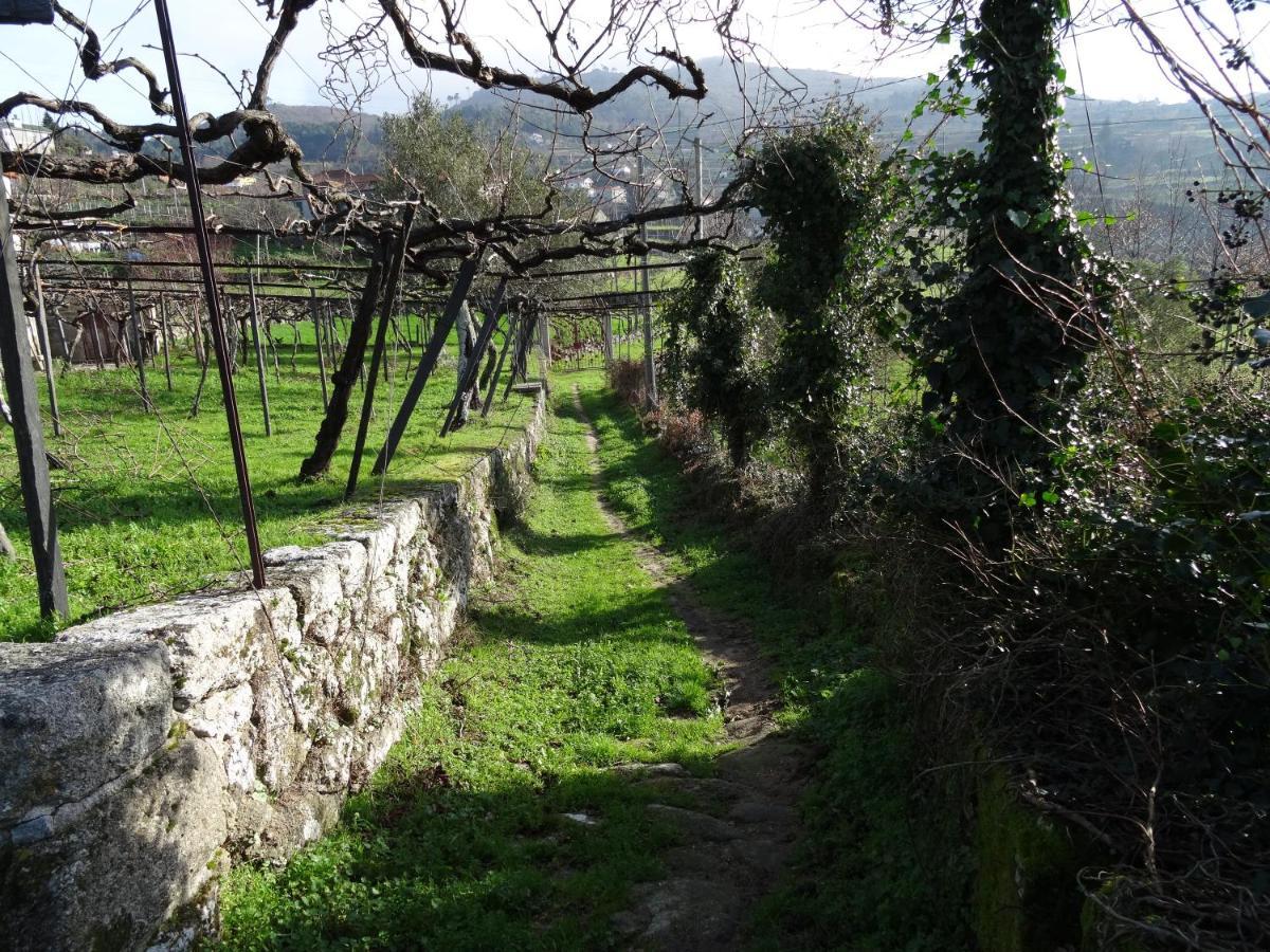 Вилла Quinta De S. Cipriano Резенде Экстерьер фото