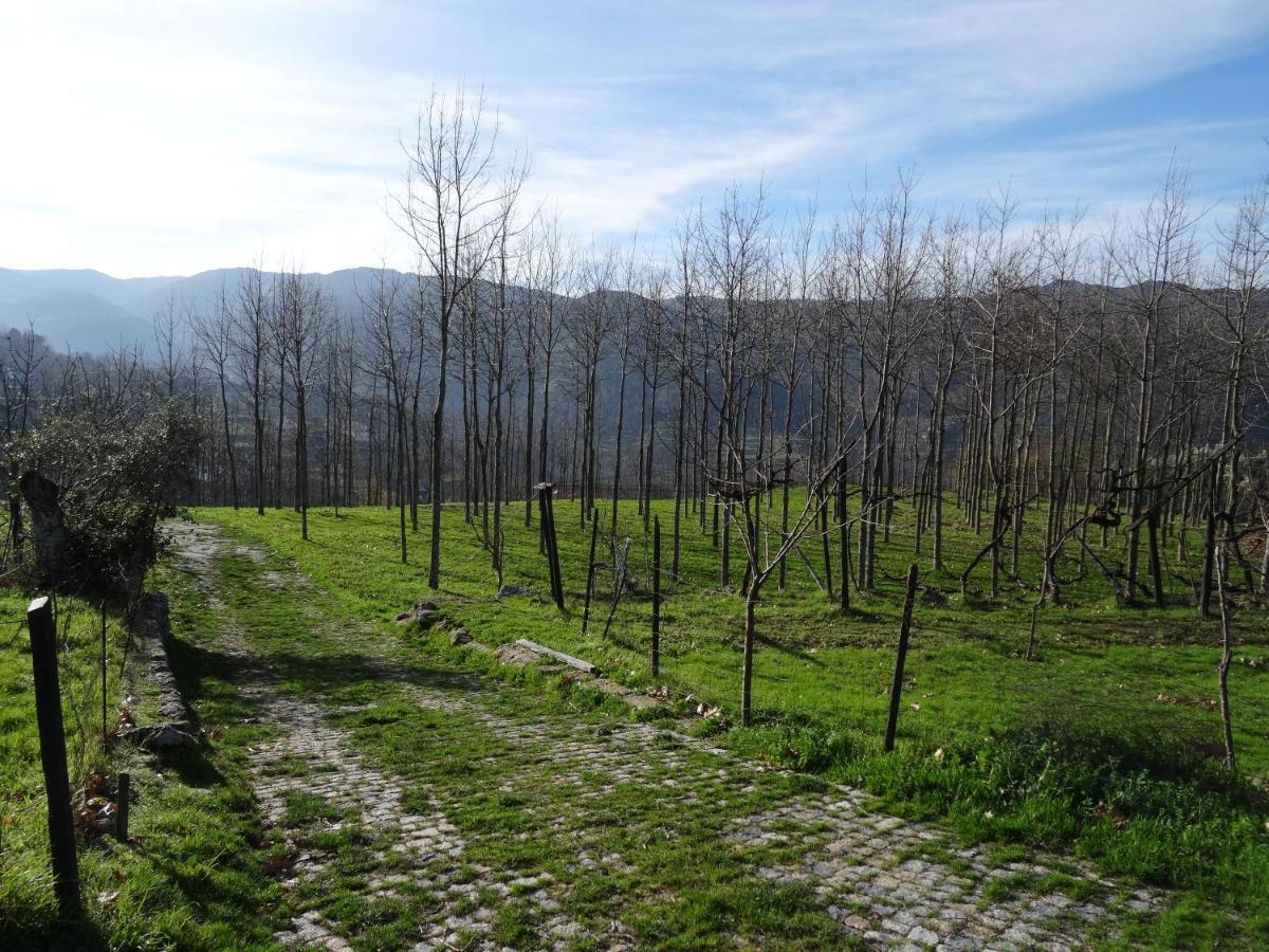 Вилла Quinta De S. Cipriano Резенде Экстерьер фото