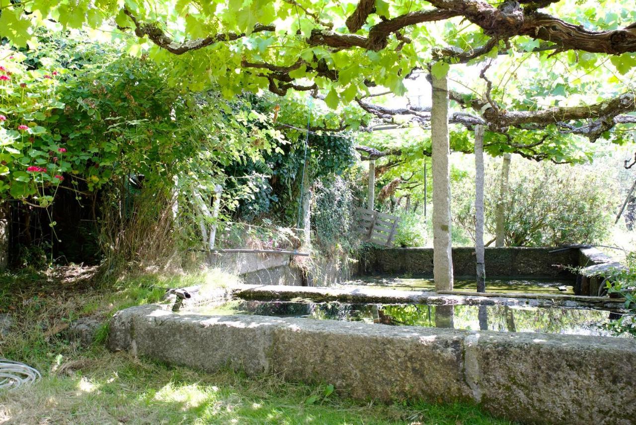 Вилла Quinta De S. Cipriano Резенде Экстерьер фото