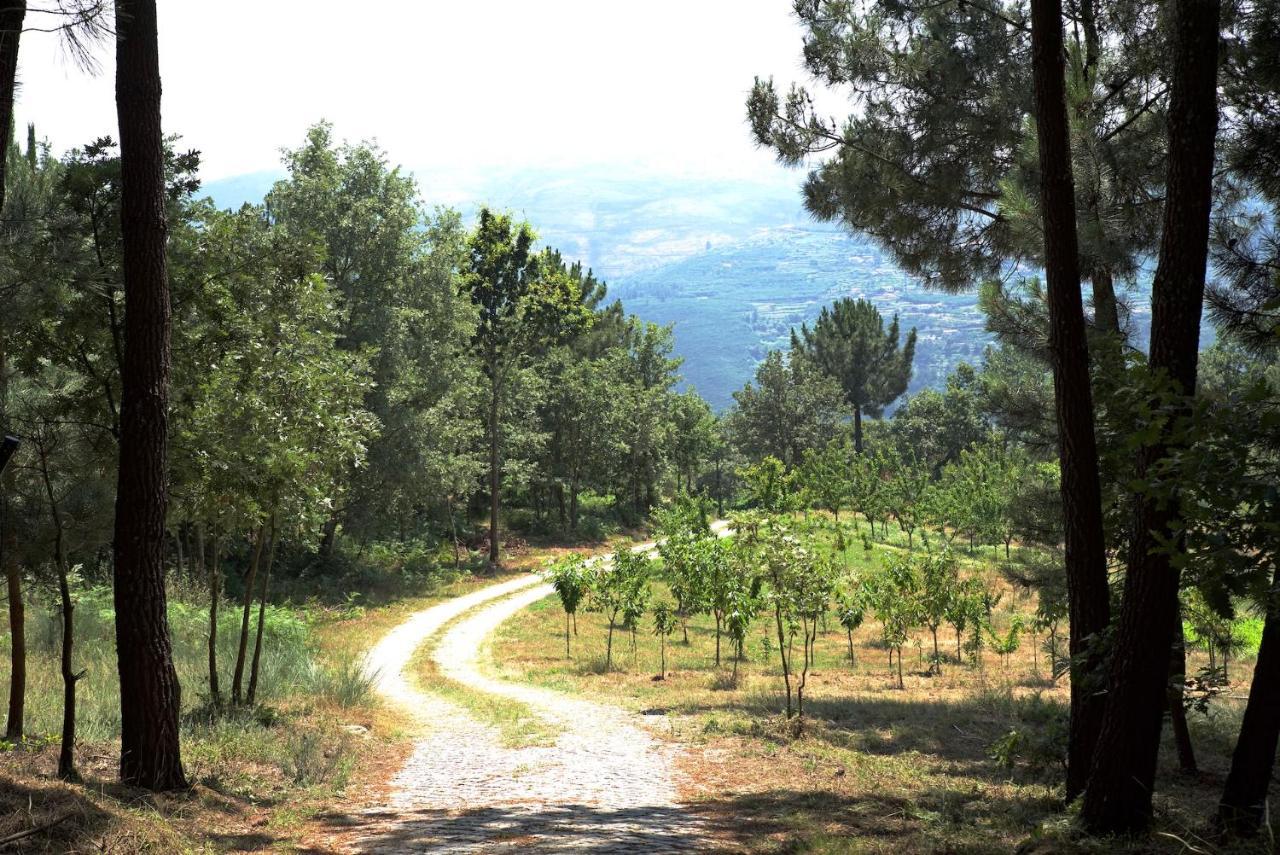 Вилла Quinta De S. Cipriano Резенде Экстерьер фото