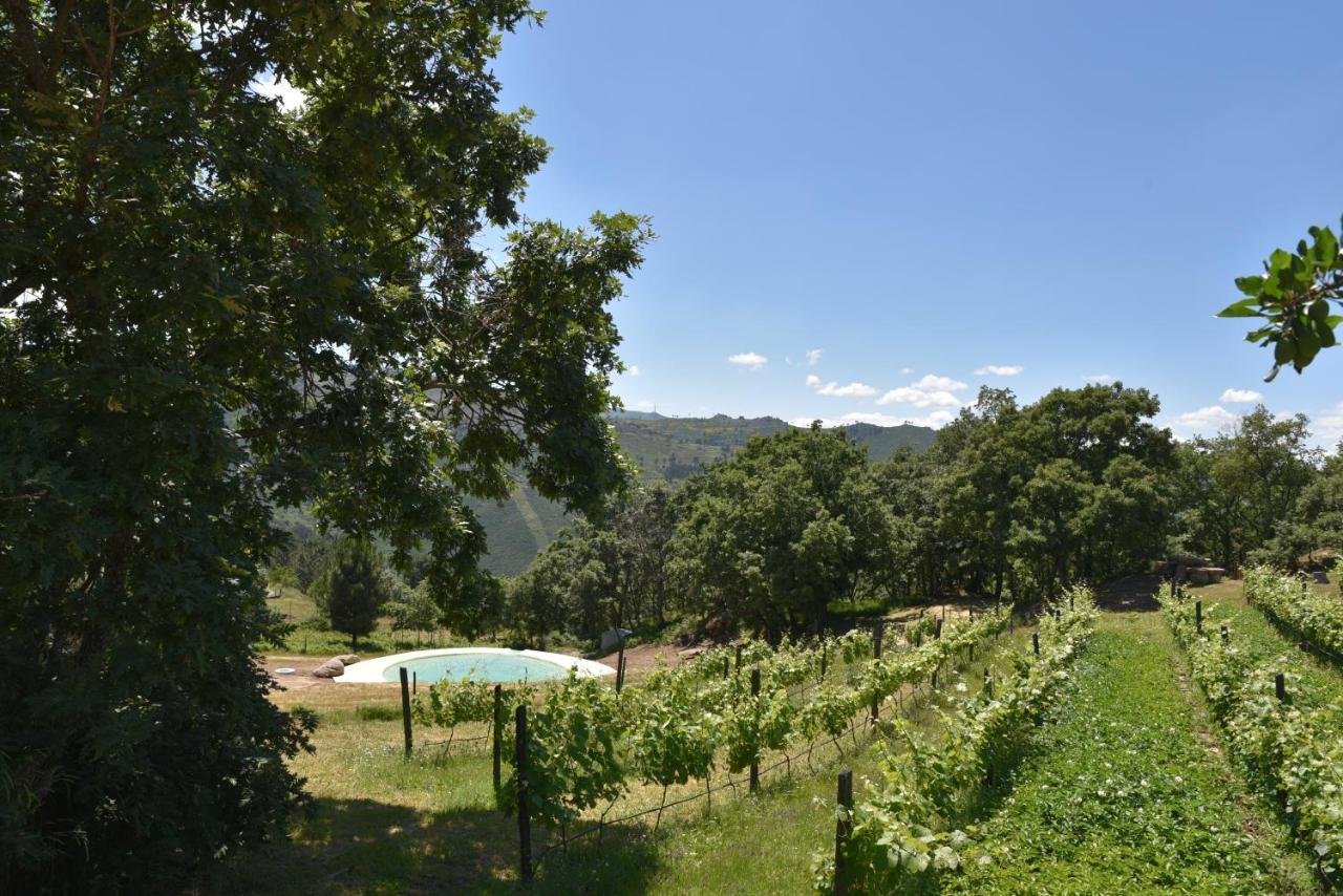 Вилла Quinta De S. Cipriano Резенде Экстерьер фото