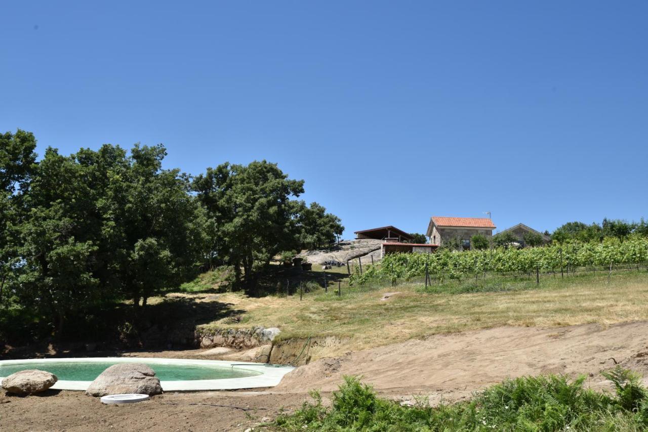 Вилла Quinta De S. Cipriano Резенде Экстерьер фото