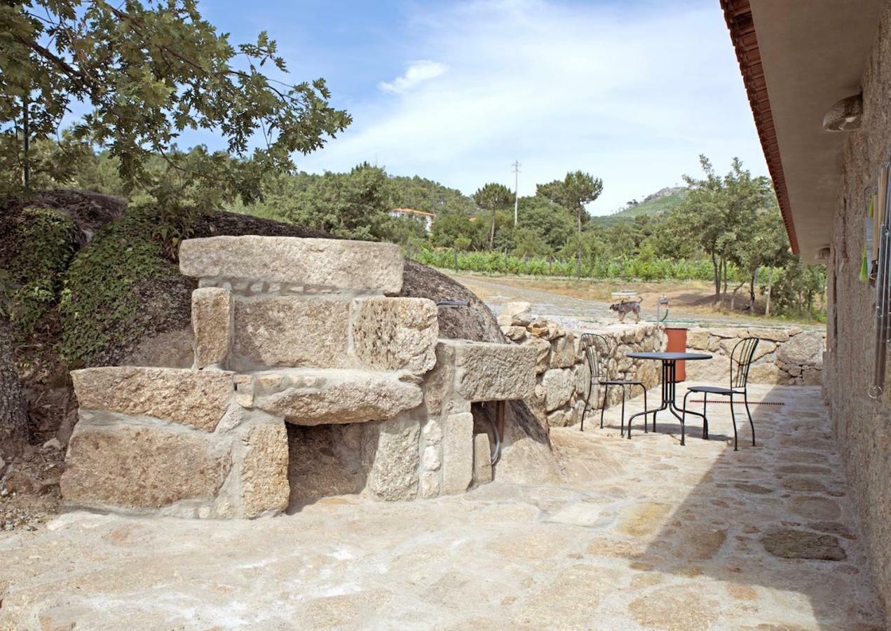 Вилла Quinta De S. Cipriano Резенде Экстерьер фото